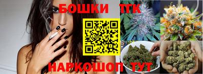 твердый Камышлов