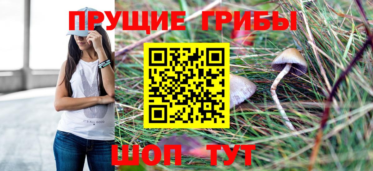 Галлюциногенные грибы GOLDEN TEACHER  Вход с VPN  Кызыл 